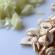 Pite od gljiva: Jednostavni i brzi recepti Jednostavna pita od gljiva u pećnici