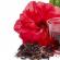 Cvijet hibiskusa: korisna svojstva i kontraindikacije Prednosti ploda hibiskusa