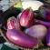 Marinated eggplants like mushrooms