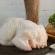 Pečena piletina sa heljdom