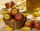 Oak barrels Which apples will “survive” until spring