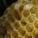 Pčelinji vosak: porijeklo, sastav, fizička svojstva, industrijska upotreba Kako se dobija vosak